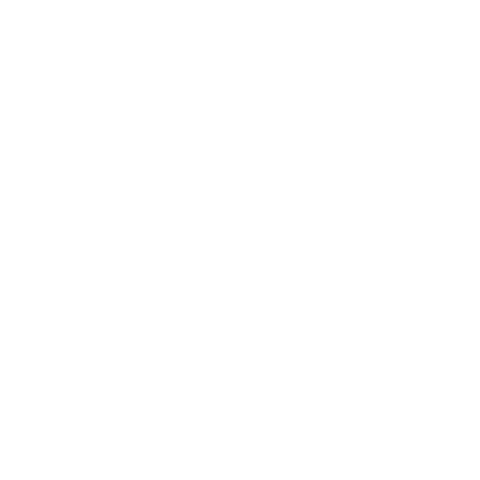 Logo Lights Camera Vows logo